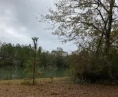 Tentrr Signature Site - A Mississippi Waterfront