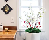 Gorgeous Chilkat Tower #3, 2BR Condo, downtown