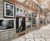 Premium Quality Residence with Impressive Insta-Worthy Features 360