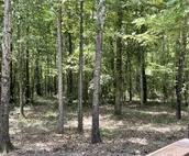 Bent Tree Cabin, on Private 12.5 Acres + Hot Tub