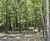 Bent Tree Cabin, on Private 12.5 Acres + Hot Tub