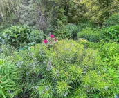 Private, Heated Pool, Open 7/28/23 for 1 Week