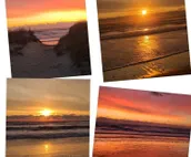 Golden Dunes  Oceanside, Private Heated Pool, Dogs Welcome, Hot Tub