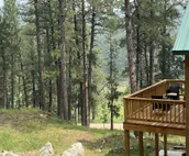 Vacation home with views of Mount Rushmore!