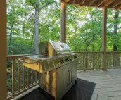 Baumhaus (Treehouse) - Unique luxury smart home with wrap-around porches & game