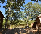 Tranquil Texoma Lake House w/ private lake on .5 acres & steps from Lake Texoma