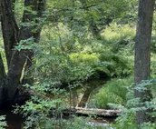 Tentrr Signature Site - Horseshoe River : Brookside