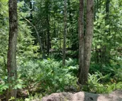 Tentrr Signature Site - Horseshoe River : Brookside