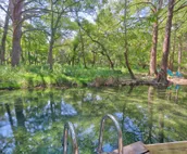 Cypress Creek House | Bright 3/2 on the creek and minutes from downtown!
