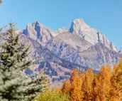 Abode at Snow Pine | Private 1.5 acre Setting with Teton Views, Frequent Wild...