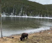 Close to Yellowstone & Grand Teton 3/3 hot tub