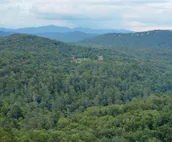 UPGRADED FOR 2023!! Sautee Sunrise - Tranquil mountain retreat with