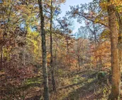 Luxe Dog-Friendly Cabin w/ Hot Tub & Game Room