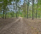 Secluded Wright City Cabin w/ Scenic Forest Views!