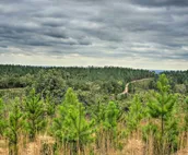 Secluded Wright City Cabin w/ Scenic Forest Views!
