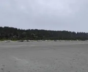 Coastal Washington Getaway: Walk to Beach!