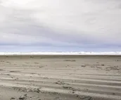 Coastal Washington Getaway: Walk to Beach!