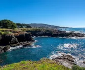 Luxe Designer Oceanfront, Courtyard, Dog-Friendly