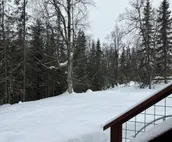 Peaceful unit on beautiful wooded Lot.  Minutes to Kenai, Soldotna & Kasiloff.
