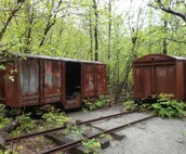 Raw Gold - Affordable, Near Mendenhall Glacier, Trails, and Conveniences - DI...