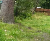Raw Gold - Affordable, Near Mendenhall Glacier, Trails, and Conveniences - DI...