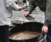 Raw Gold - Affordable, Near Mendenhall Glacier, Trails, and Conveniences - DI...