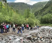 Raw Gold - Affordable, Near Mendenhall Glacier, Trails, and Conveniences - DI...