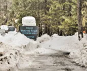 Inviting Juneau Home - Walk to Glacier Trails