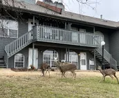 Modern city condo with Bluff Creek nature views