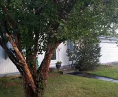 4 Bed 2 Bath Home. Great area. Yard and sun porch. Close to Shopping and park.