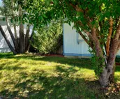 4 Bed 2 Bath Home. Great area. Yard and sun porch. Close to Shopping and park.