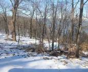 Lake View cottage, secluded, quiet, total remodel, 3 king beds