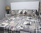 Lake View cottage, secluded, quiet, total remodel, 3 king beds