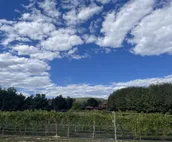 Spectacular Home in Peaceful Area – Vineyard Views