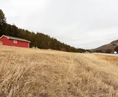 Entire cabin king bed fully stocked kitchen & free parking ideal for long stays!