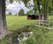 NEW- Country Livin—Fishing, Horse Riding , Wildlife, Fort Gibson Lake, Huge Yard