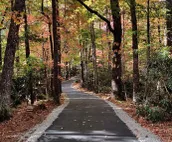 Spectacular Mt Getaway - Amazing views, privacy, hot tub, 4 miles from Cashiers!