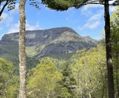 Spectacular Mt Getaway - Amazing views, privacy, hot tub, 4 miles from Cashiers!