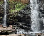 Spectacular Mt Getaway - Amazing views, privacy, hot tub, 4 miles from Cashiers!