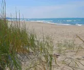 Fun w/Loft! Beach ~Nature Trails ~Grill~ Firepit ~Indiana Dunes National Park