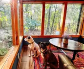 Spacious, Wooded views near HELEN and Dahlonega