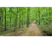 Spacious, Wooded views near HELEN and Dahlonega