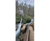 Spacious, Wooded views near HELEN and Dahlonega