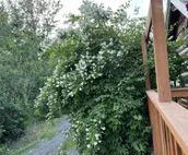 Family friendly lakefront chalet with hot tub and master suite