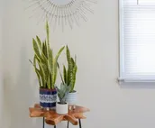 926 Tennessee #4 · [4] Charming Lawrence Apt home Steps from Mass St!