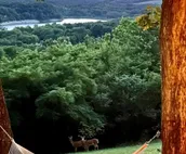 LAKEVIEW & Mountain View romantic SUNSET OASIS on Lake Tenkiller near Tahlequah
