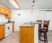 Dog-friendly lower-level duplex with washer/dryer - walk to ski lifts