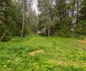 Dog-friendly lower-level duplex with washer/dryer - walk to ski lifts