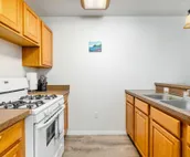 Dog-friendly lower-level duplex with washer/dryer - walk to ski lifts