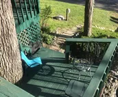 Enjoy a serene stay at Eagle Nest Cottage